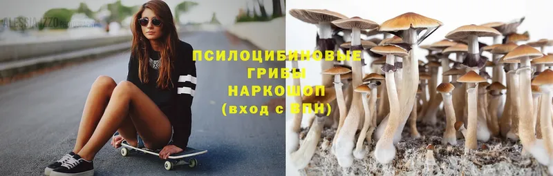 Галлюциногенные грибы Magic Shrooms  kraken вход  Горбатов 